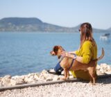 Your dog can feel happy! Here’s how: