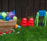 Activity ideas for your four-legged friend