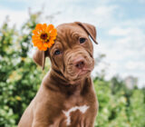 7 spring activities