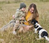 The dog breeds most recommended for children