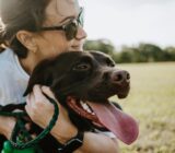 You were wrong! Preconceptions related to dogs or cats